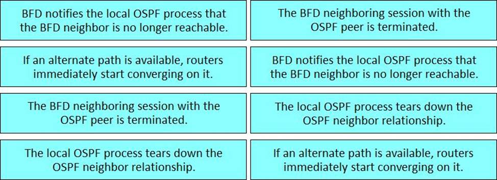 New 300-610 Braindumps Sheet